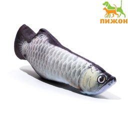 Игрушка Рыба моей мечты! с кошачьей мятой, арапайма, 20 см