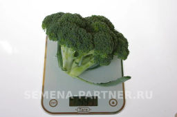 Капуста брокколи Батавия - Партнер фото 3