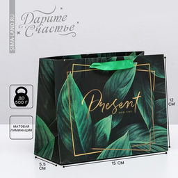 Цена за 2 шт. Пакет подарочный ламинированный, упаковка, Present for you, S 15 х 12 х 5.5 см