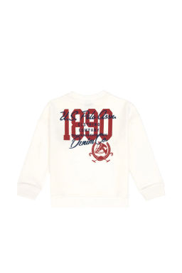 Erkek _ocuk Ekru Bisiklet Yaka Sweatshirt - U.s. polo assn фото 3