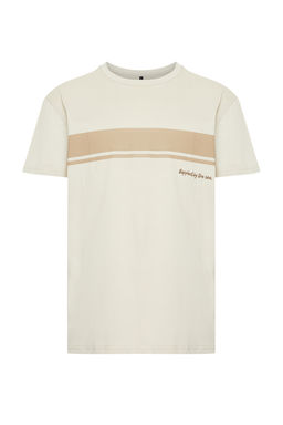 TRENDYOL MAN Tas Regular/Normal Bisiklet Yaka K?sa Kollu Cizgili Bask?l? %100 Pamuklu T-shirt TMNSS24TS00059 - Trendyolmilla фото 15