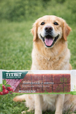 Титбит Батончик с бараниной и брусникой 40 г 1/30 4690538021323 - Titbit фото 2
