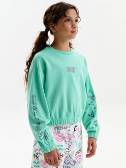 GFNY3389/1 Толстовка для девочек