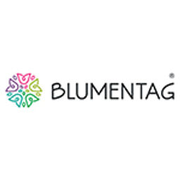 Blumentag VDD-48 Веточка декоративная с шишкой и ягодами 6 х 1 шт. 30 см 01  фото 4