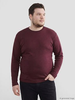 Bisiklet Yaka Uzun Kollu Erkek Ti??rt