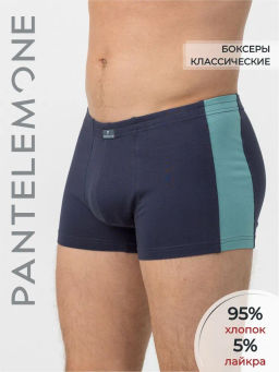 Трусы мужские