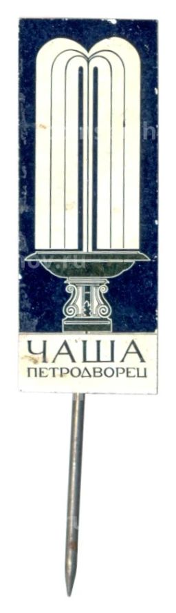 Значок Петродворец - Чаша