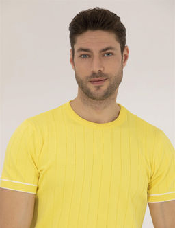 A__k Sar_ Slim Fit Bisiklet Yaka Triko Ti__rt - Pierre cardin фото 2