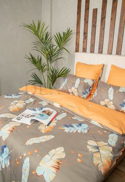 КПБ Denvol Classic DENCL024 2 спальный - Mency фото 3