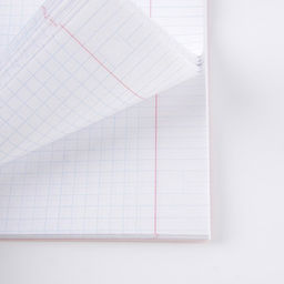 Предметная тетрадь, 48 листов, ВЕЛИКИЕ ЛИЧНОСТИ, со справ. мат. География, обложка мелованный картон 230 гр., внутренний блок в клетку 80 гр., белизна 96% - Artfox study фото 5