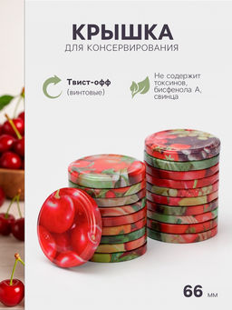 Цена за 20 шт. Крышка для консервирования Элит, ТО-66 мм, жесть, винтовая, литография, фасовка 20 шт., МИКС