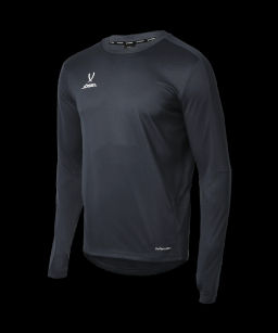 Джемпер тренировочный JOGEL DIVISION PerFormDRY Pro Training Top, черный