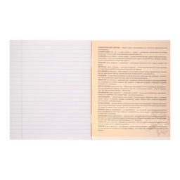 Тетрадь предметная Комикс Аниме 48 листов в линейку Литература, со справочным материалом, обложка мелованный картон, УФ-лак (полный), блок офсет - Calligrata фото 3