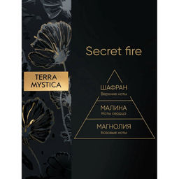 Breesal Ароматический диффузор TERRA MYSTICA «Secret fire» (Тайный огонь) 100 мл  фото 4