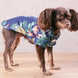 Рубашка для собак и кошек малых и средних пород "СТИЛЬНЫЙ БРО", цвет синий, принт ананасы с цветами, размер L