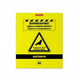 Тетрадь 48л. BE INFORMED "Алгебра" (59482, ErichKrause) пластиковая обложка