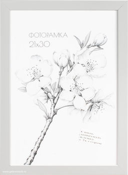 Фоторамка 21х30 с акриловым стеклом / 2004D-012A /уп10 ф - ГалеонТрейд фото 2