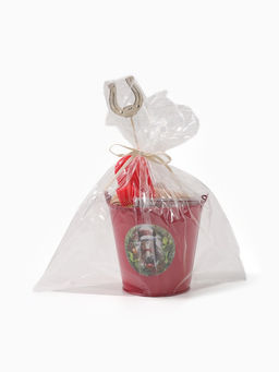 Набор подарочный Доляна "Лошадь"