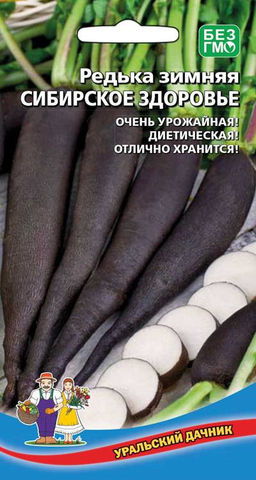 Редька СИБИРСКОЕ ЗДОРОВЬЕ  Очень урожайная со сладко-острым вкусом! Обилие витаминов! Идеальна для салатов, отлично хранится зимой!