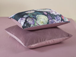 Касабланка (роза антика)