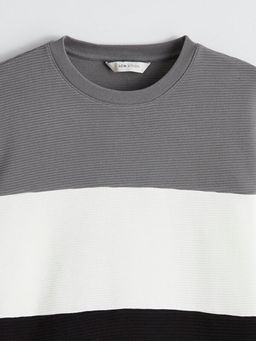 Bisiklet Yaka Renk Bloklu Erkek Sweatshirt