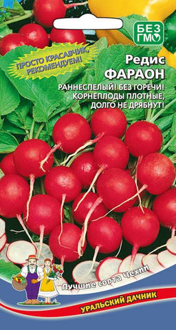 Редис ФАРАОН  Настоящий красавчик! Раннеспелый! Корнеплоды плотные, не дрябнут! Без пустот!