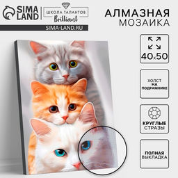 Алмазная мозаика с полным заполнением на холсте с подрамником Котята, 40?50 см
