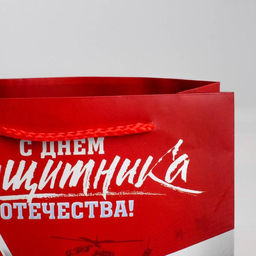 Пакет подарочный ламинированный, упаковка, «С Днем защитника Отечества», L 31 х 40 х 11.5 см