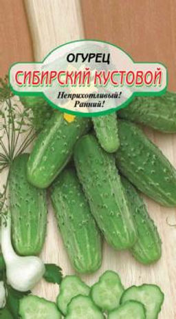 Сибирский кустовой огрец 10 шт пч (ссс)