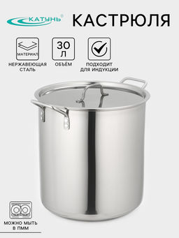 Котёл Катунь «Общепит», 30 л, d=35 см, h=36.5 см, с крышкой, капсульное дно, индукция, нержавеющая сталь, хромированная
