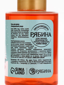 Цена за 2 шт. Гель для душа, аромат ягодного сорбета, 100 мл, URAL LAB