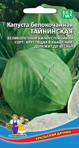 Капуста ТАЙНИНСКАЯ Великолепный килоустойчивый сорт! Хрустящая в квашении, долежит до весны!