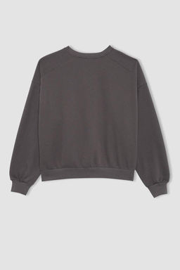Толстый толстый свитшот Cool Oversize с круглым вырезом - Defacto фото 10