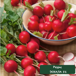 Редис ЭСКАЛА F1