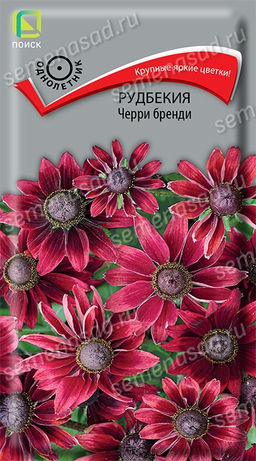 Рудбекия Черри бренди (ЦВ) ("1) 0,1гр