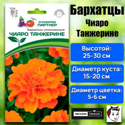 Бархатцы отклоненные Чиаро Танжерине