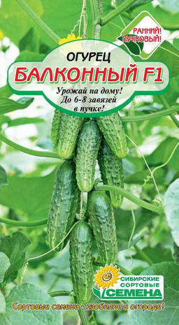 Балконный F1 огурец 7 шт (ссс) Р парт