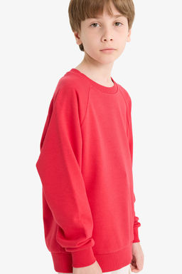 Bisiklet Yaka Basic D_z Okul Sweatshirt Erkek _ocuk