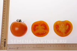Томат Оранж Биф - Партнер фото 6