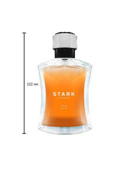 Dilis STARK POWER Туалетная вода для мужчин 100 мл  фото 3