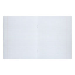 Комплект тетрадей из 10 штук (5 видов по 2 штуки), 48 листов в клетку Calligrata Смайлики, обложка мелованный картон, блок офсет фото 7