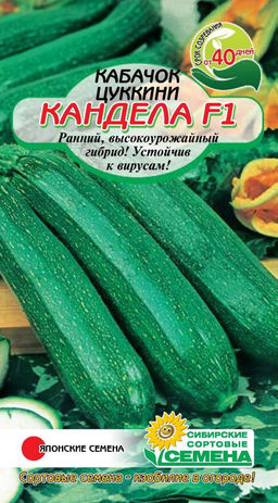 Кандела F1 кабачок 3 шт (ссс) Р