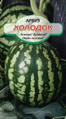 Холодок арбуз 10шт (ссс) Р