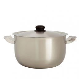 Кастрюля ЭКОНОМ 5,0л. без ТРС мет.крышка, пласт.кнопка,мет ручки (220мм) арт.1с819 Аша