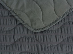 АРТ-025 Покрывало полиэстр жатый 180*210 "Мурена"