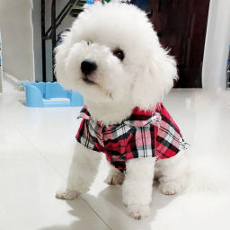 Кофта - рубашка фланелевая для мелких пород собак и кошек "BRO Style", цвет красный, р L