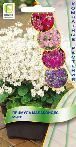 Примула малакоидес Микс (ЦВ) (К) 0,01гр. - Поиск фото 2