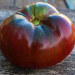 7090T Томат Чёрный Леон 10шт