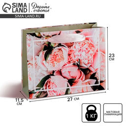 Цена за 2 шт. Пакет подарочный ламинированный, Present, упаковка, ML 27 х 23 х 11.5 см