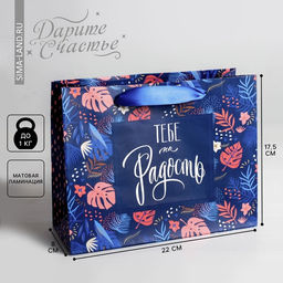 Цена за 2 шт. Пакет подарочный ламинированный, упаковка, Тебе на радость 22?17.5?8 см
